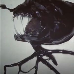 Meet your Posher, Beast